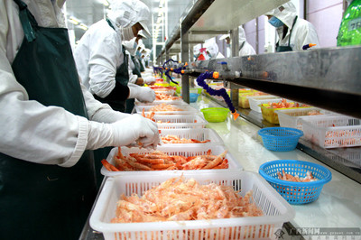 【網絡媒體走轉改】岑衛(wèi)霞:起舞在&ldquo;海上絲路