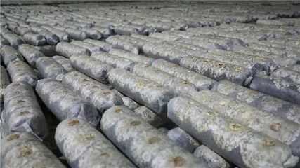 山陽、商南6個重點項目接受全市&ldquo;檢閱&rdquo;