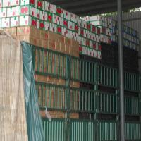 蔬菜收購與邊貿出口 農副產品加工的發展機遇