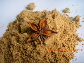 頂能食品 優質八角粉調味香辛料的生產與價格解析