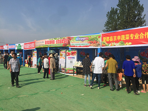 望都2017櫻桃文化旅游節暨農副產品展銷會拉開帷幕，助力地方特色食品銷售